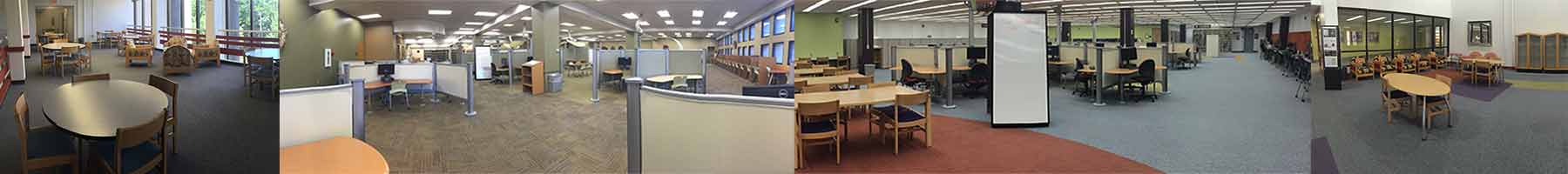 Collection of general study areas in both libraries